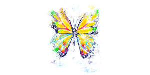 Schmetterling Illustration