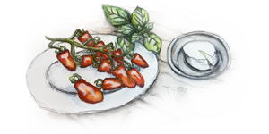 Tomaten Illustration